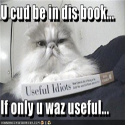 Cat Roblox decal