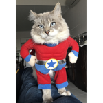 super cats army hero's