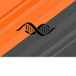 Gaming Universe RBLX Group