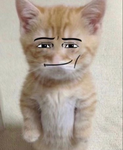 Muzzle’s home