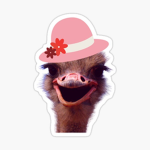 Ostrich clan!