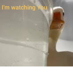 Sunf!owers Duckies
