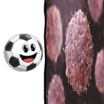 Ball cancer 2.1