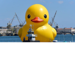 the duck peps