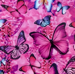 Baylee's Butterflies