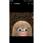 Kartoffelpureee