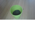 dirt cup