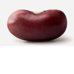 Beans <3 Forever