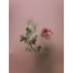 The _weird ._. group