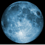 The Nut Moon