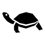 Tiny Tim the Turtle