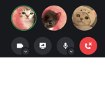 Winnie Club