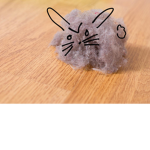 Dust Bunnies