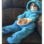 I’m so LAZY 2