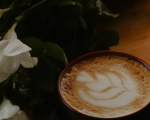 Blossom cafes group