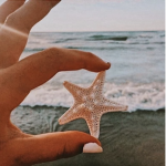 The starfish club