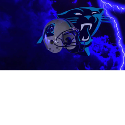 Bank Of America Panthers