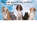 Stop animal meat trade