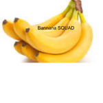 banana squad pls join