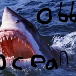 Ocean obby