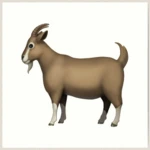 Wivaldo Fans Group Thumbnail