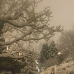 TheSnowQueen