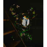 CORRUPTUS OBLITUSCASA GROUP