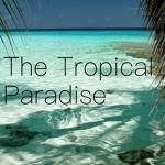 The Tropical Paradise