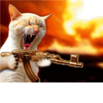 THE CAT KILLERS