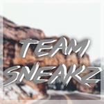 Team Sneakz