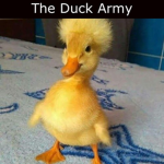 _The Duck Army_