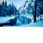 Winter Group for All Types of People Who Love Wint