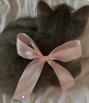 Hello kitty catttts