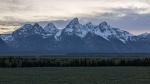 Free The Mountain