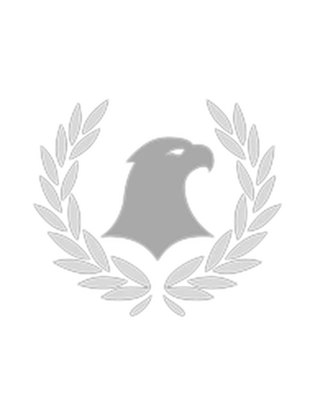 House of Delirium Roblox group icon