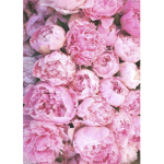 Peony Squad