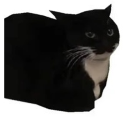 dingus