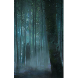 Survive the forest