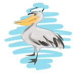 Moist Pelican Gang.