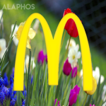 McDonald's | I'm Lovin It