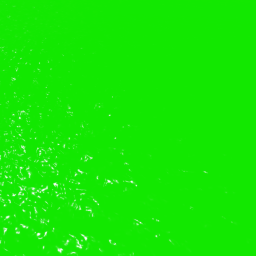 Poop