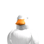 ducks group united