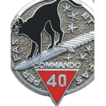 Commando cat regiment