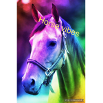 Horse vibes hangout corner