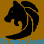 The Moon Gaurd