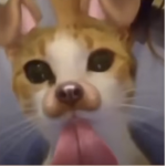 VO1DD