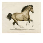 -Prancing Mammoths-