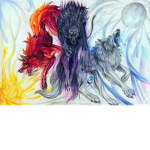 Wolf Fraccion