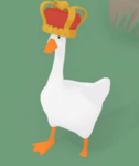 The duck swarm