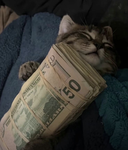 iwyatms